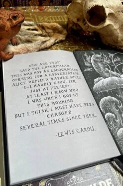 Alice In Murderland Journal -Vampirefreaks Sale Store alice in murderland journal stationery 747749