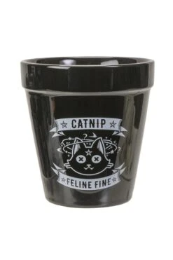 Alchemy Catnip Garden Planter