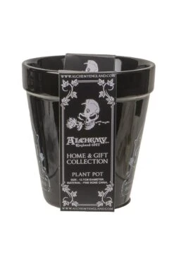 Alchemy Catnip Garden Planter -Vampirefreaks Sale Store catnip garden planter housewares 819887