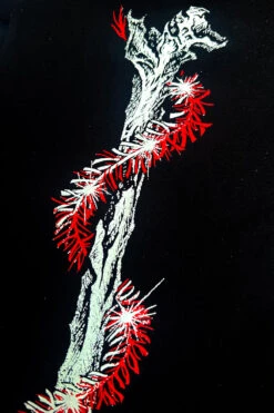 Xmas Skeleton Sweatshirt -Vampirefreaks Sale Store emo christmas clothes a088d6d5 4a19 4bff 9683 6fd940c14959