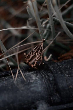 Spire's Edge Ring -Vampirefreaks Sale Store fantasy jewelry a996ada8 a030 46af ac93 e5ae07b83197