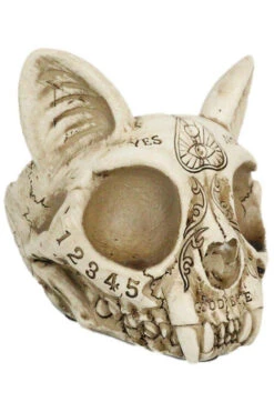 Spirit Cat Skull Ashtray -Vampirefreaks Sale Store fdeeeedd