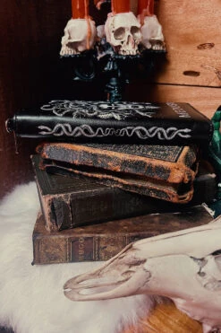 Medusa Wallet -Vampirefreaks Sale Store goth witch wallet