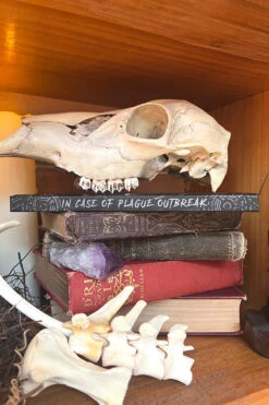 Plague Doctor Journal -Vampirefreaks Sale Store gothic notebook