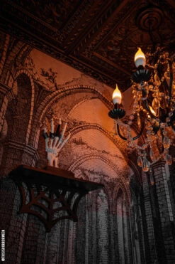 Spiderweb Shelf -Vampirefreaks Sale Store gothic shelf