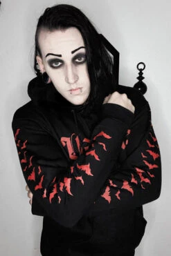I'm A Vampire Hoodie -Vampirefreaks Sale Store im a vampire hoodie zipper or pullover mens outerwear 887495