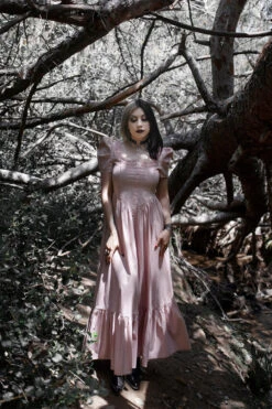 La Vie En Rose Dress -Vampirefreaks Sale Store kawaii dress c3231502 9334 4f82 b052 cef82448db0f