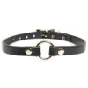Bloodbound O-Ring Choker [Genuine Leather] -Vampirefreaks Sale Store punk collar 7b5b98cf bc67 4378 b5e6 4d1a62ad0599