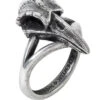 Alchemy Rabenschadel Kleiner Ring -Vampirefreaks Sale Store skull ring