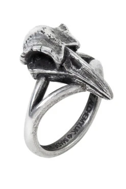 Alchemy Rabenschadel Kleiner Ring