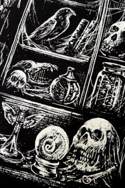 Cabinet Of Curiosities T-shirt -Vampirefreaks Sale Store skull shirt dc6338f7 c1eb 4a2a b5e5 2f76608f6eed