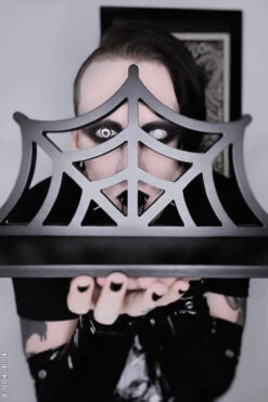 Spiderweb Shelf -Vampirefreaks Sale Store spider shelf