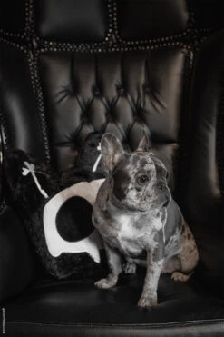 Skelekitty Throw Pillow -Vampirefreaks Sale Store spooky pillow