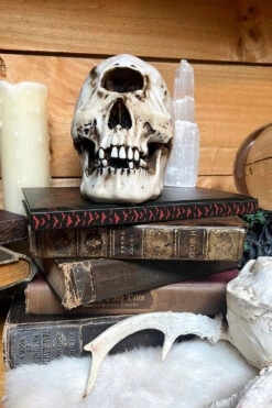 Vampyre Journal -Vampirefreaks Sale Store vampire gift