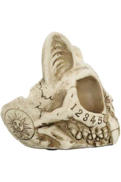 Spirit Cat Skull Ashtray -Vampirefreaks Sale Store vdsdvd