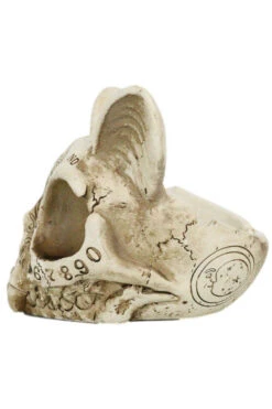 Spirit Cat Skull Ashtray -Vampirefreaks Sale Store vdvsv